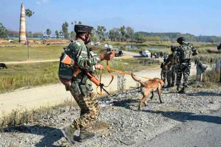 ied found on sopore road in bandipora bomb disposal squad called