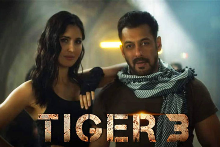 release date of tiger 3 changed now this film of salman will come on screen on this day
