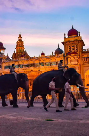 Mysore 