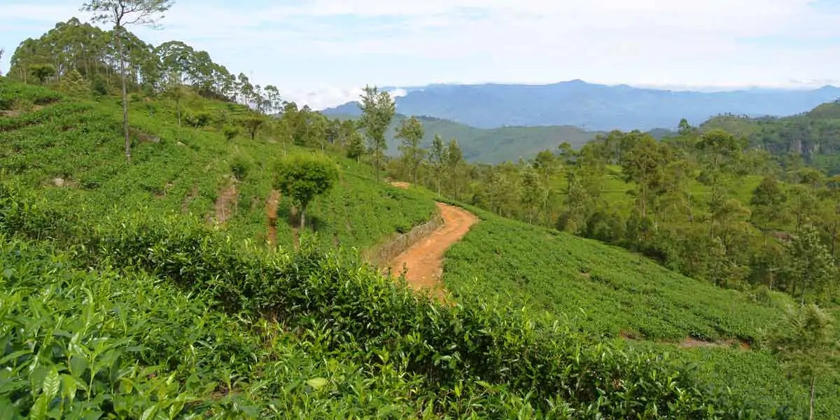Sri Lanka