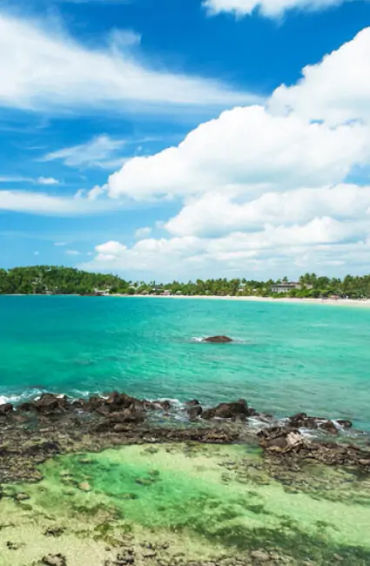 Sri Lanka, biodiversity,  jewels, coast of India, country