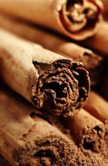 Sri Lanka, biodiversity,  jewels, coast of India, country