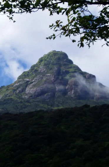 sri Lanka, biodiversity,  jewels, coast of India, country