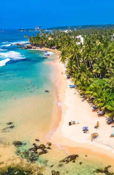 sri Lanka, biodiversity,  jewels, coast of India, country