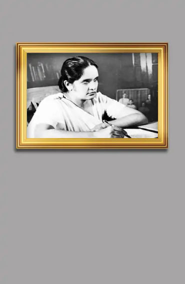 Sri Lanka, biodiversity,  jewels, coast of India, country