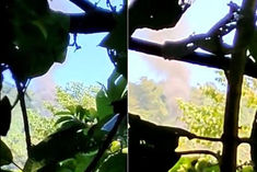 military helicopter crashes near singing village in arunachal pradesh search operation begins