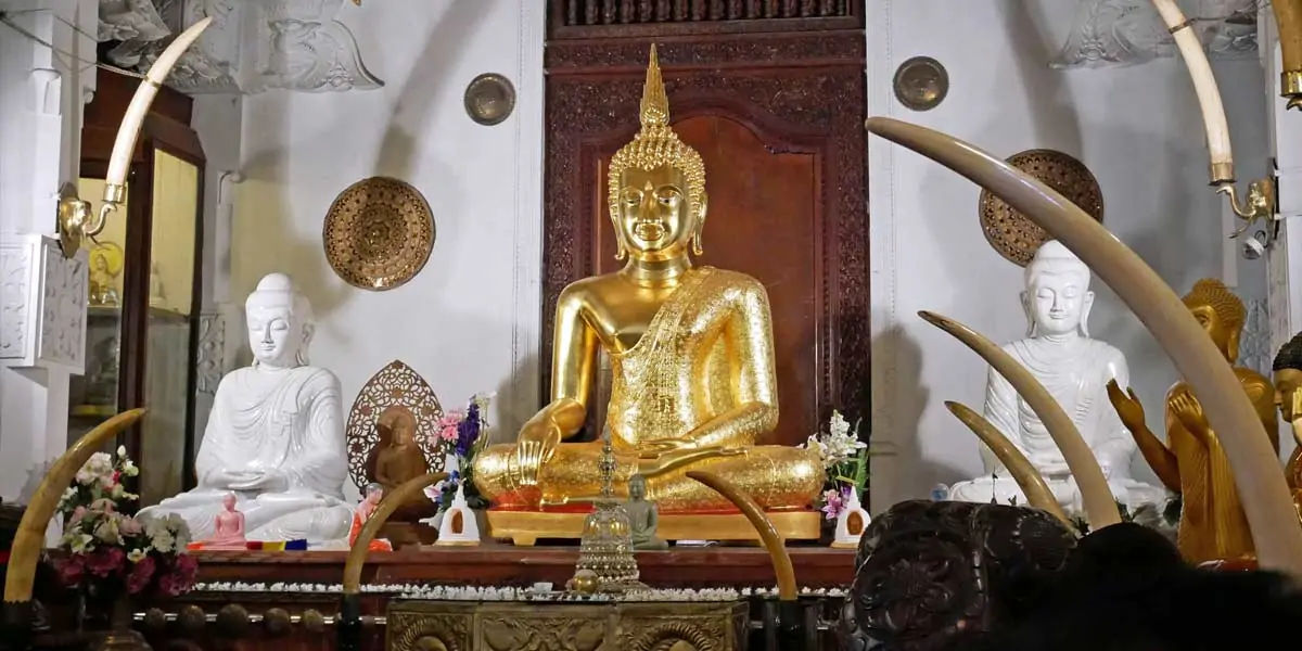 Buddha