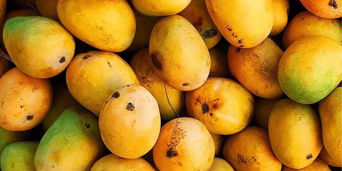 Mangoes