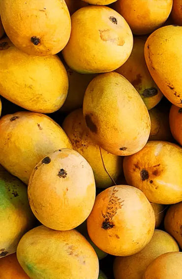 Mangoes 