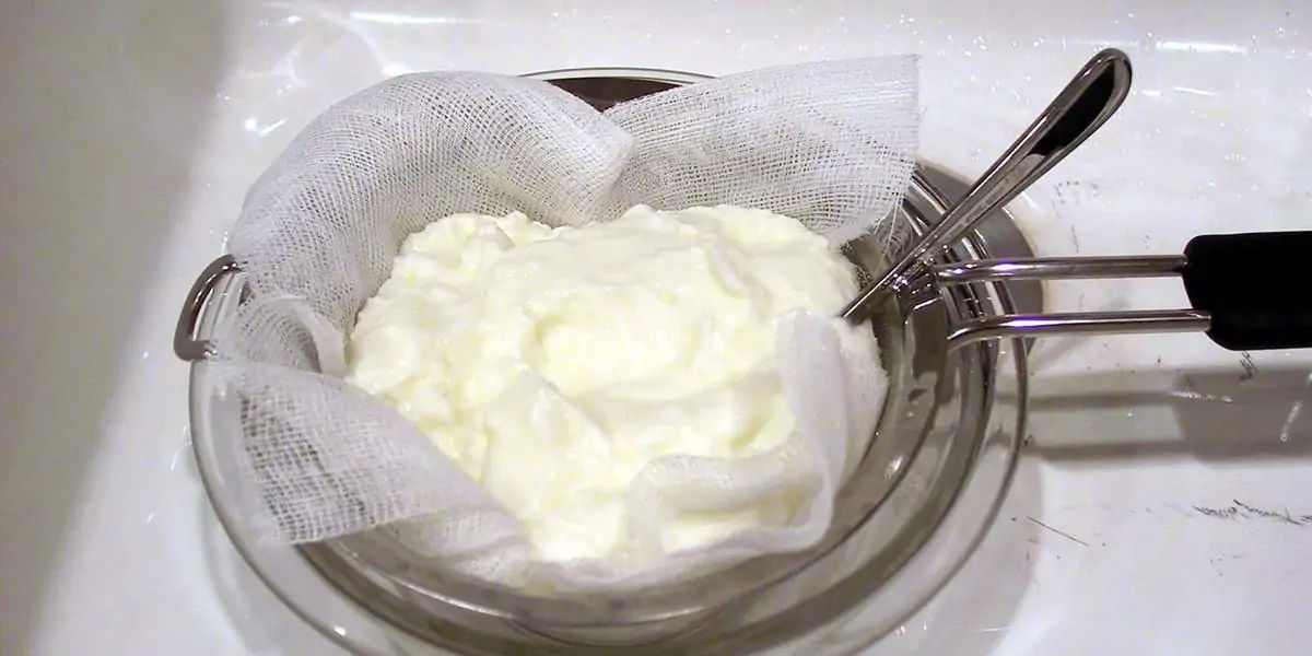 yoghurt 