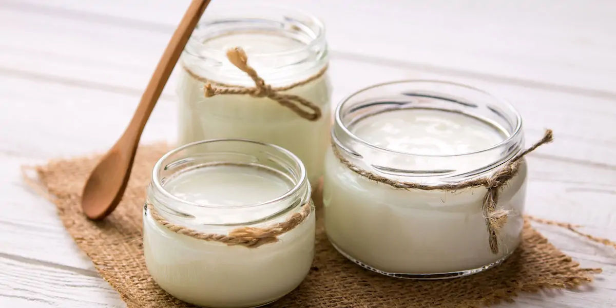 yoghurt 