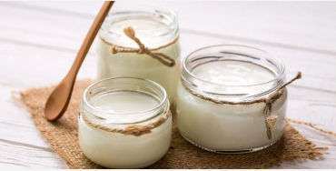 yoghurt 
