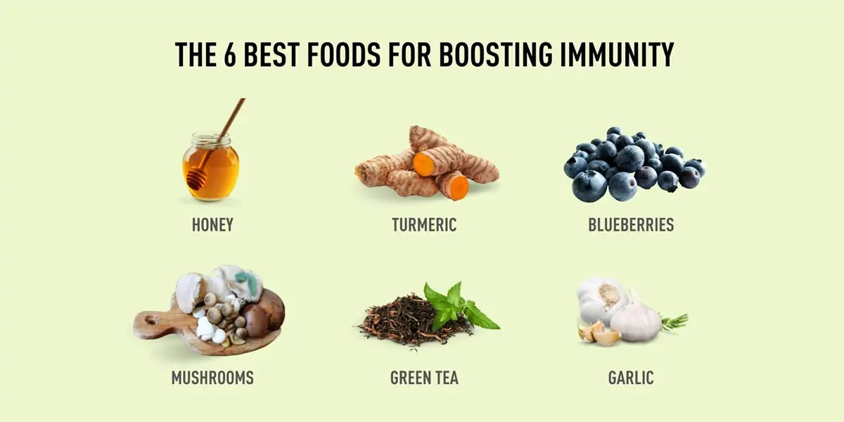 tulsi, tulsi leaf, extracts, immune, healthy