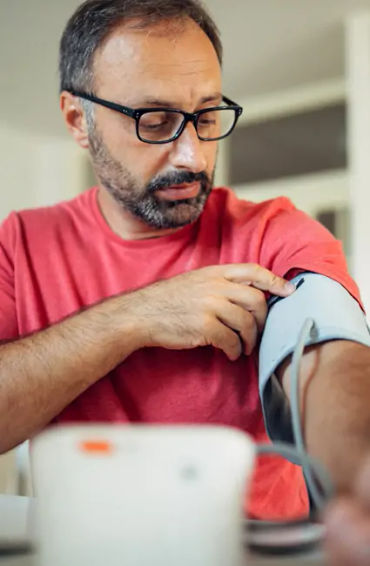 tulsi, tulsi leaf, extracts, immune, healthy