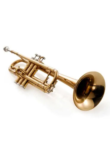 trombone, players, drumbeat, trombone suicide, head chop