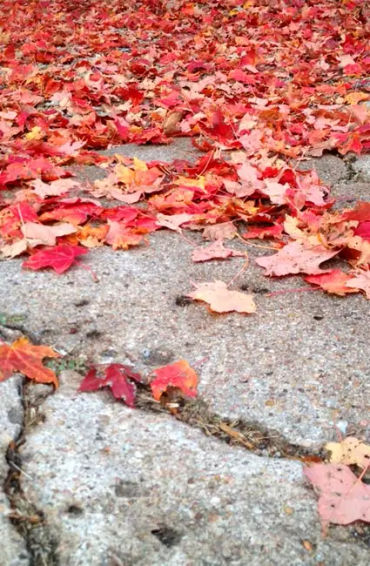 Pompeii, Giuseppe Fiorell, Italian, architect, Mount Vesuviu, pumice