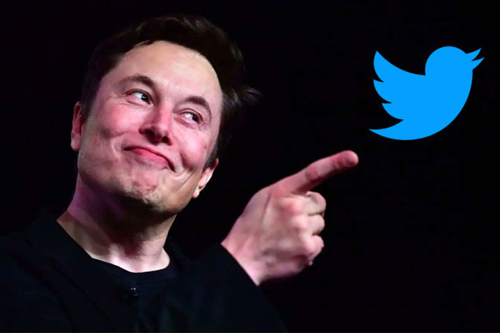 elon musk to set up content moderation council for twitter