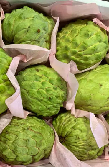 Custard Apple 