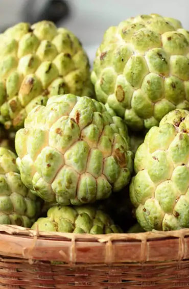 apple, vitamin c, riboflavin, cells, nutrients