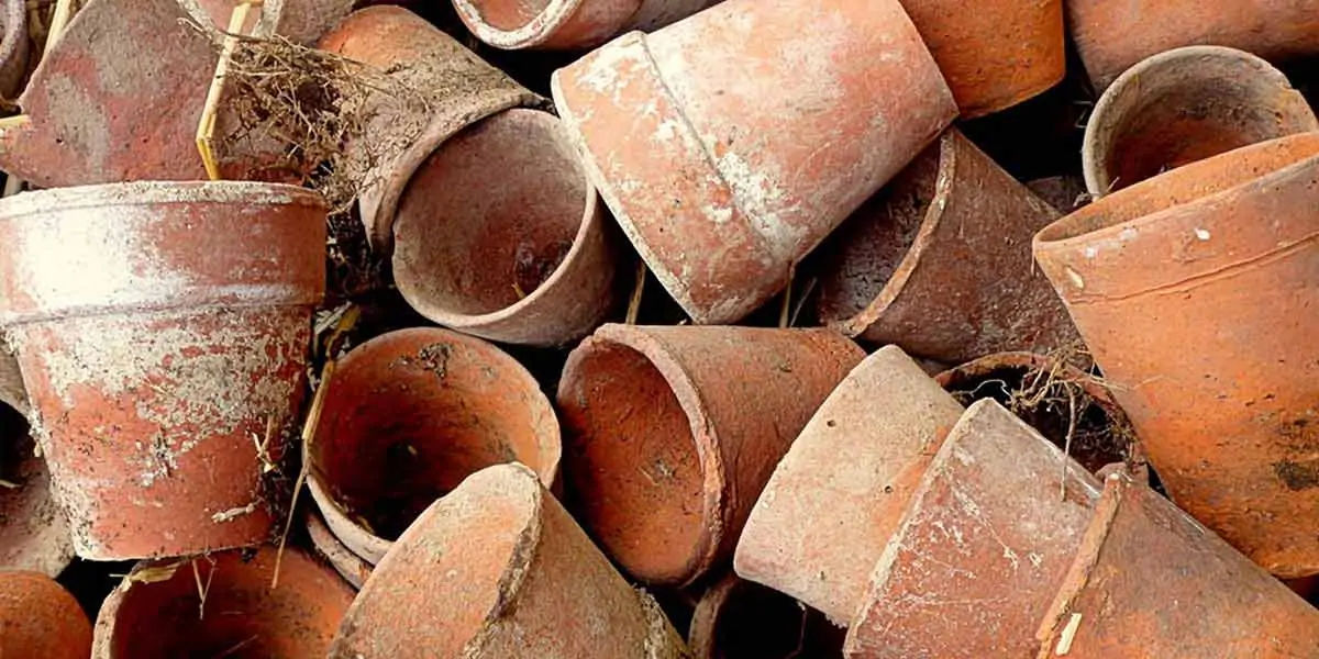 earthen pots, earthenware, health professionals, slow cooking, earthy flavor 