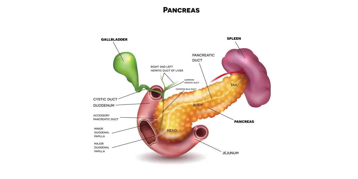 Pancreatic cancer