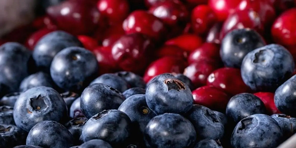 Blueberry