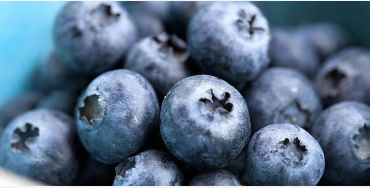 Blueberries' 