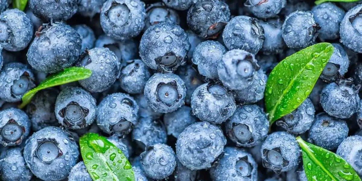 blueberries