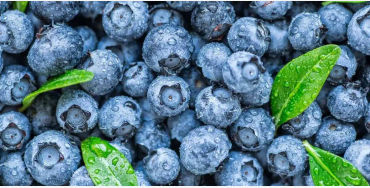 blueberries