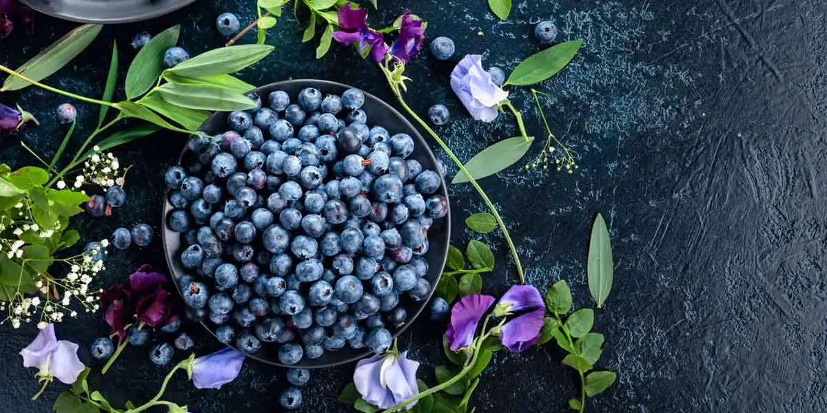 blueberries, memory, thinking, good for health