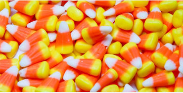 halloween, pet, costume