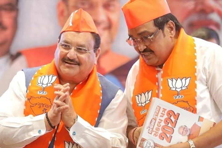 bjp releases manifesto for gujarat elections promises to provide 20 lakh jobs in 5 years