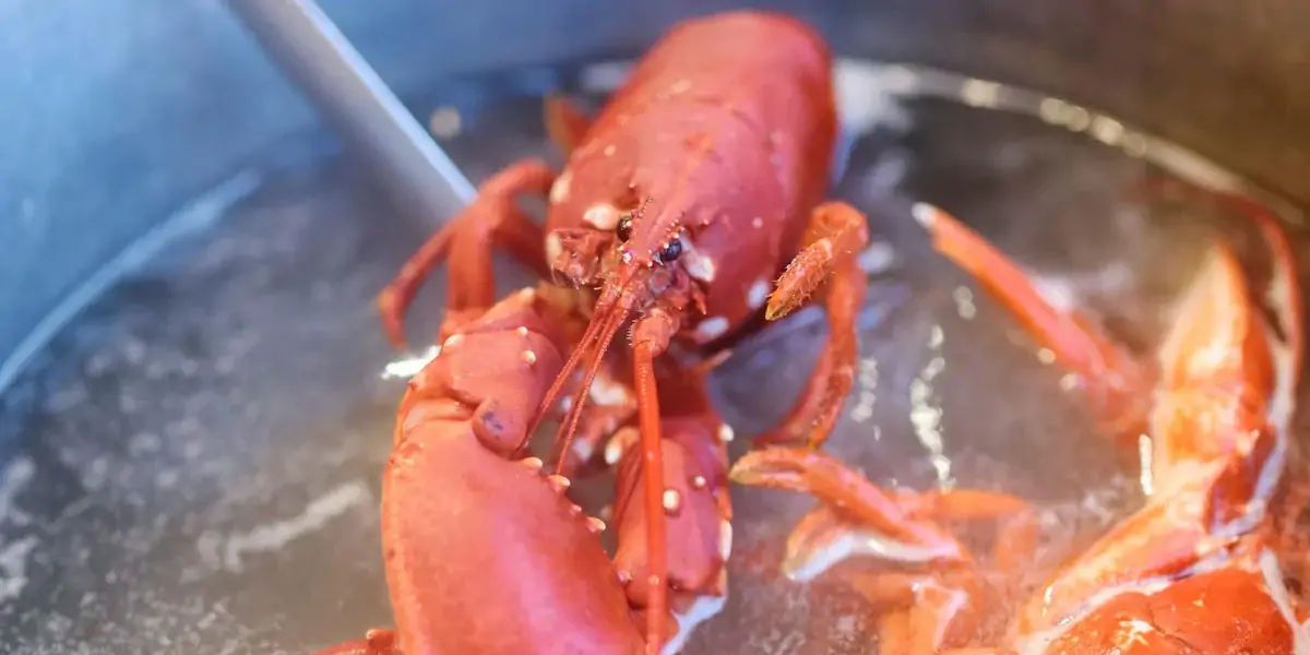 Lobsters