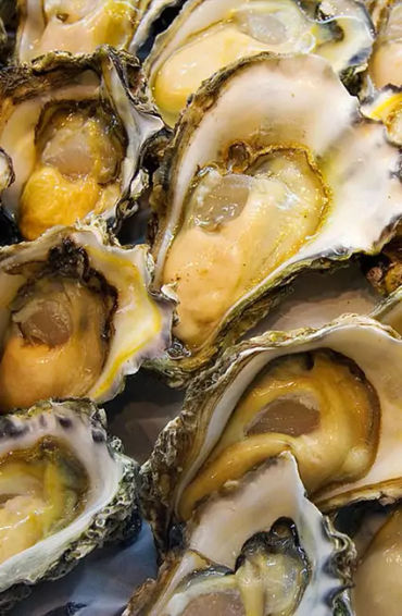 oyesters 