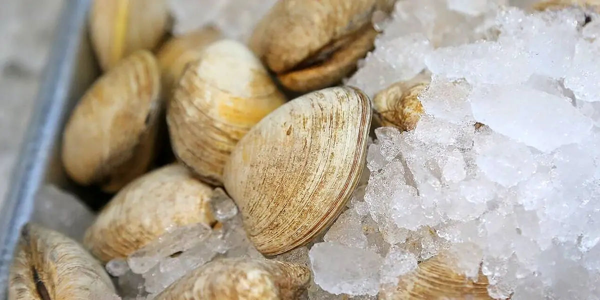 lobster, crabs, clams, mussels