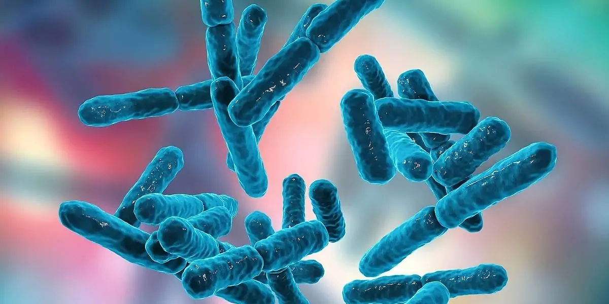 probiotics