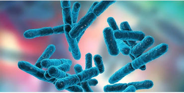 Probiotics 
