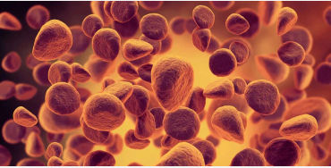 probiotics 