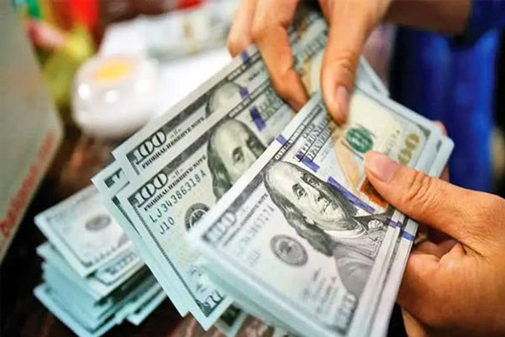 foreign exchange reserves increased