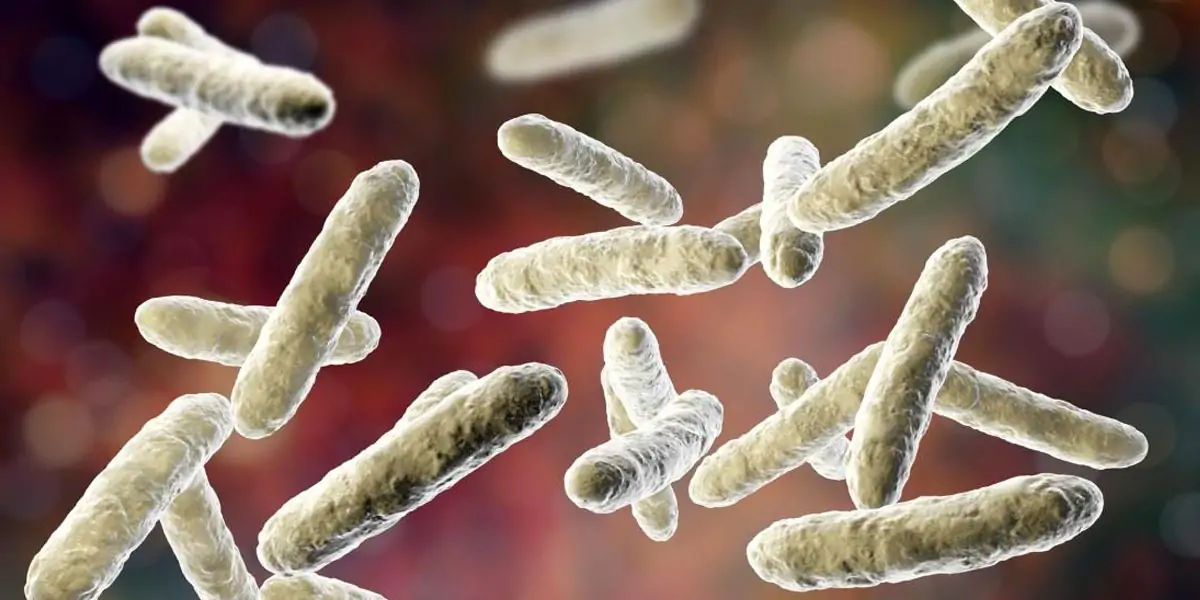 anti-biotics, health, diseases