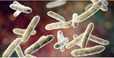 anti-biotics, health, diseases