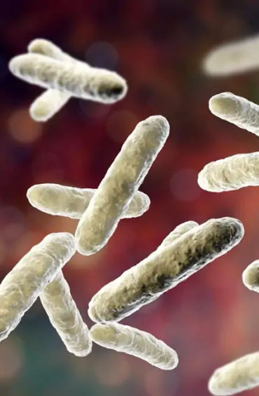 anti-biotics, health, diseases