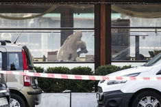 in italy a man fired indiscriminately killed three women including the prime ministers friend