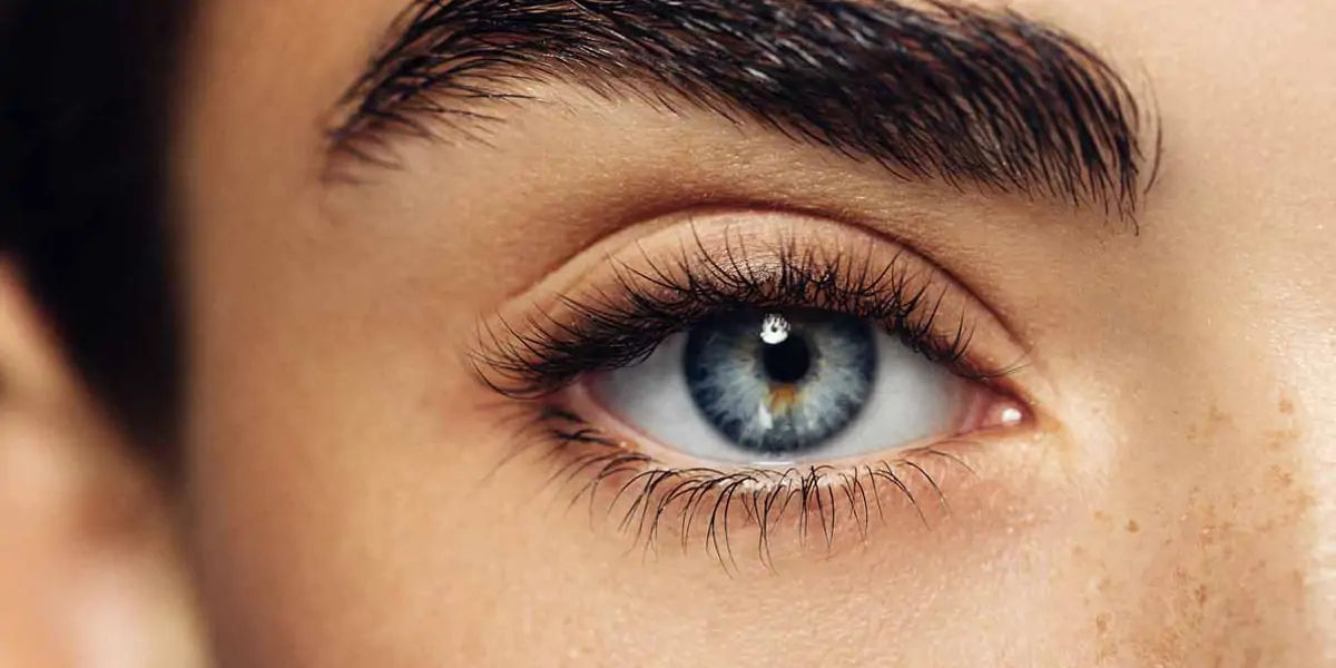 eyes