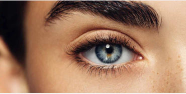 eyes