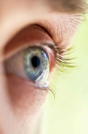 amaltas, leaves, benefits