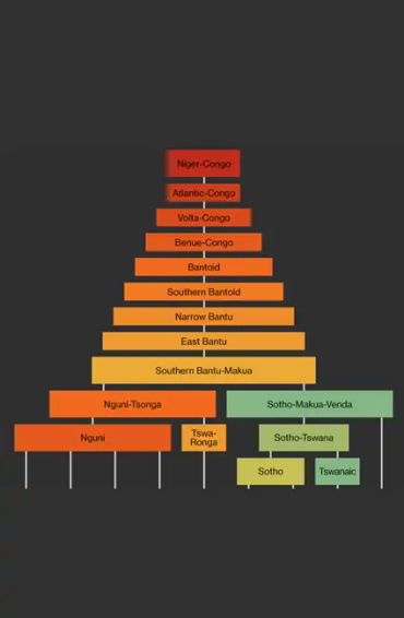 Afrikaans, african, dutch