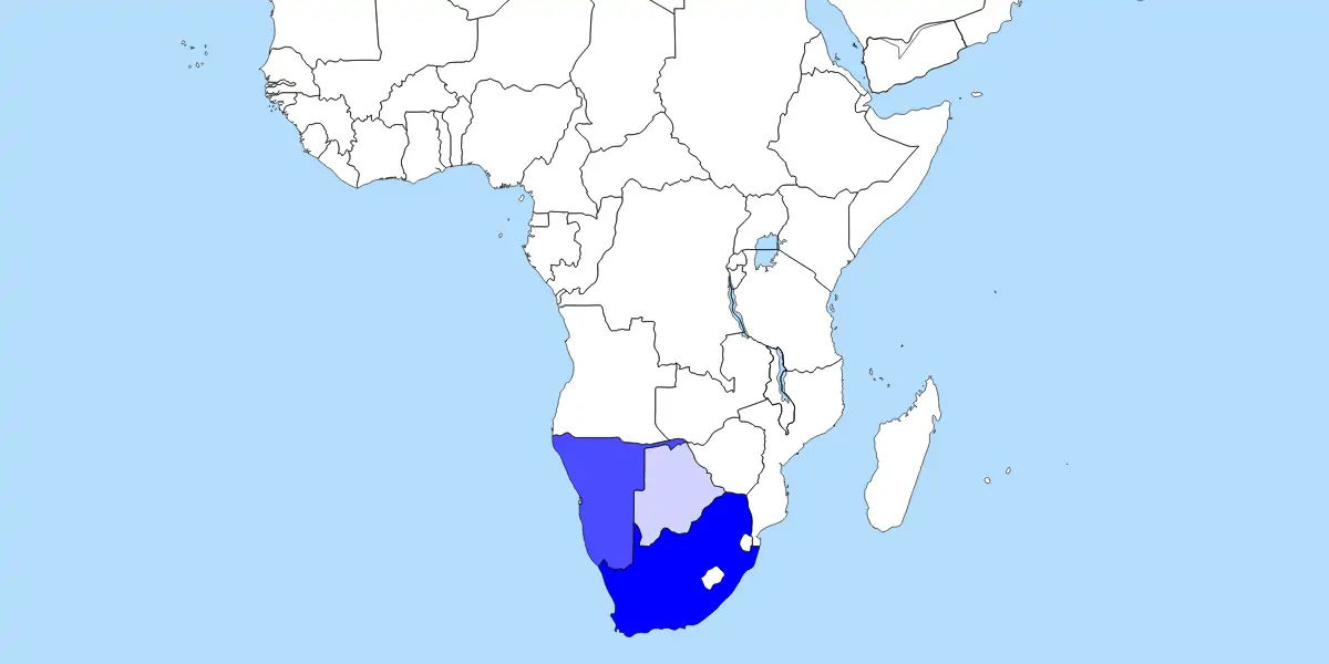 afrikaans, african, dutch