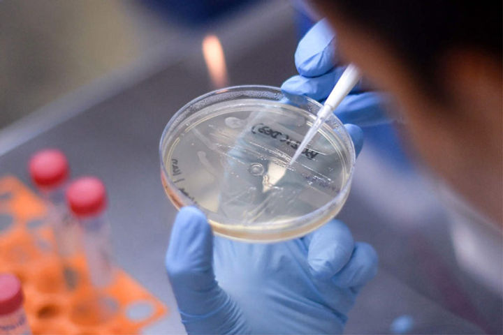 research on viral infection will be done at more than 28 icmr centers