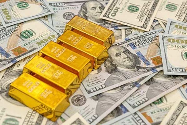 foreign exchange reserves